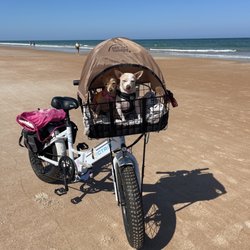 The Bike Shop - My bike and the road dogs