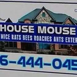 House Mouse - House Mouse services Nassau County and Queens. Specializing in Residential and Commercial services. Call Today!