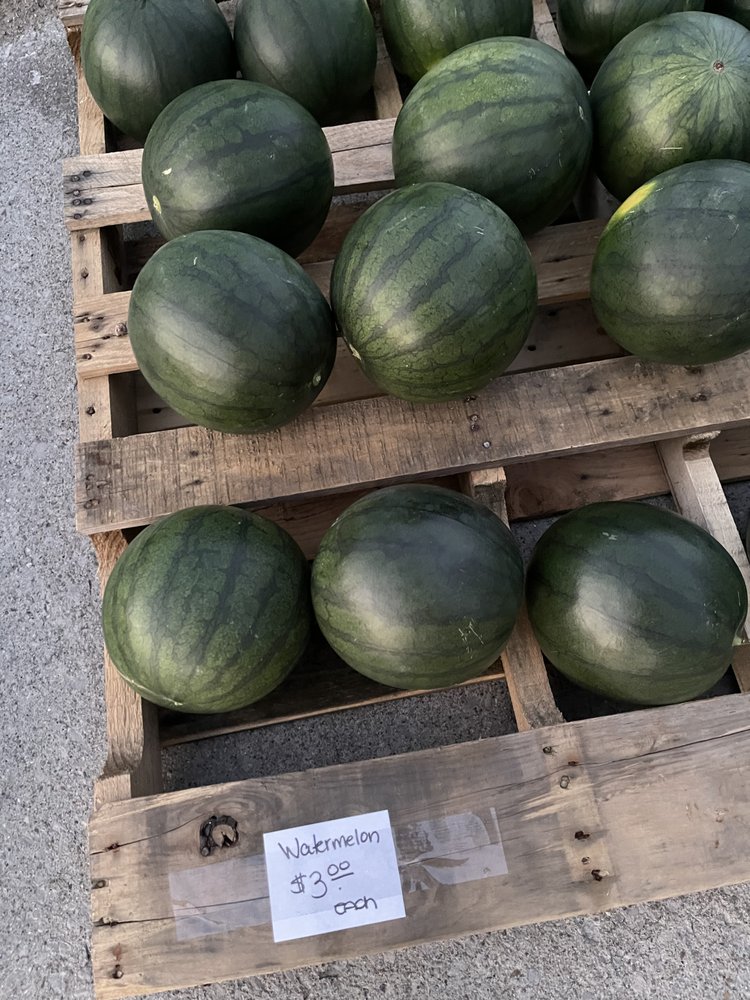 THE MUSTARD SEED Updated July 2024 34 Photos 215 State Rte 61