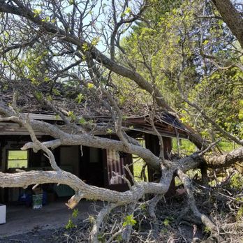 Expert Tree Service - Tree Services Near Me - Rochester, New York Expert Tree Service - Tree Services Near Me - Rochester, New York