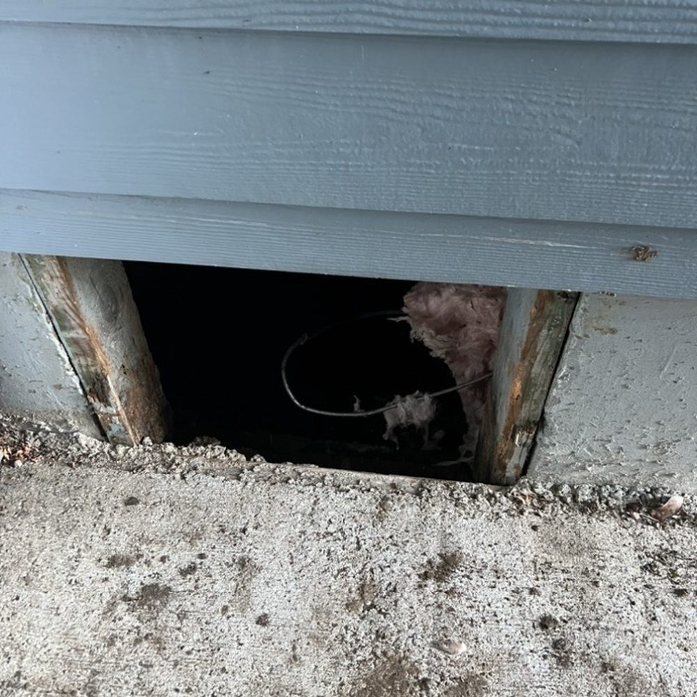 Travis Electric - Insulation left on ground - Electricians Near Me - Toledo, Oregon Travis Electric - Insulation left on ground - Electricians Near Me - Toledo, Oregon