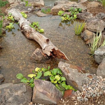 Oklahoma Ponds - The children's new science lab. - Local Services Near Me - Edmond, Oklahoma Oklahoma Ponds - The children's new science lab. - Local Services Near Me - Edmond, Oklahoma