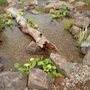 Photo of Oklahoma Ponds