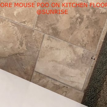 Sweet Homes Vacation Rentals - Five second rule does not apply in a kitchen w/mice scurrying around. Just gross. - Vacation Rentals Near Me - Yachats, Oregon Sweet Homes Vacation Rentals - Five second rule does not apply in a kitchen w/mice scurrying around. Just gross. - Vacation Rentals Near Me - Yachats, Oregon