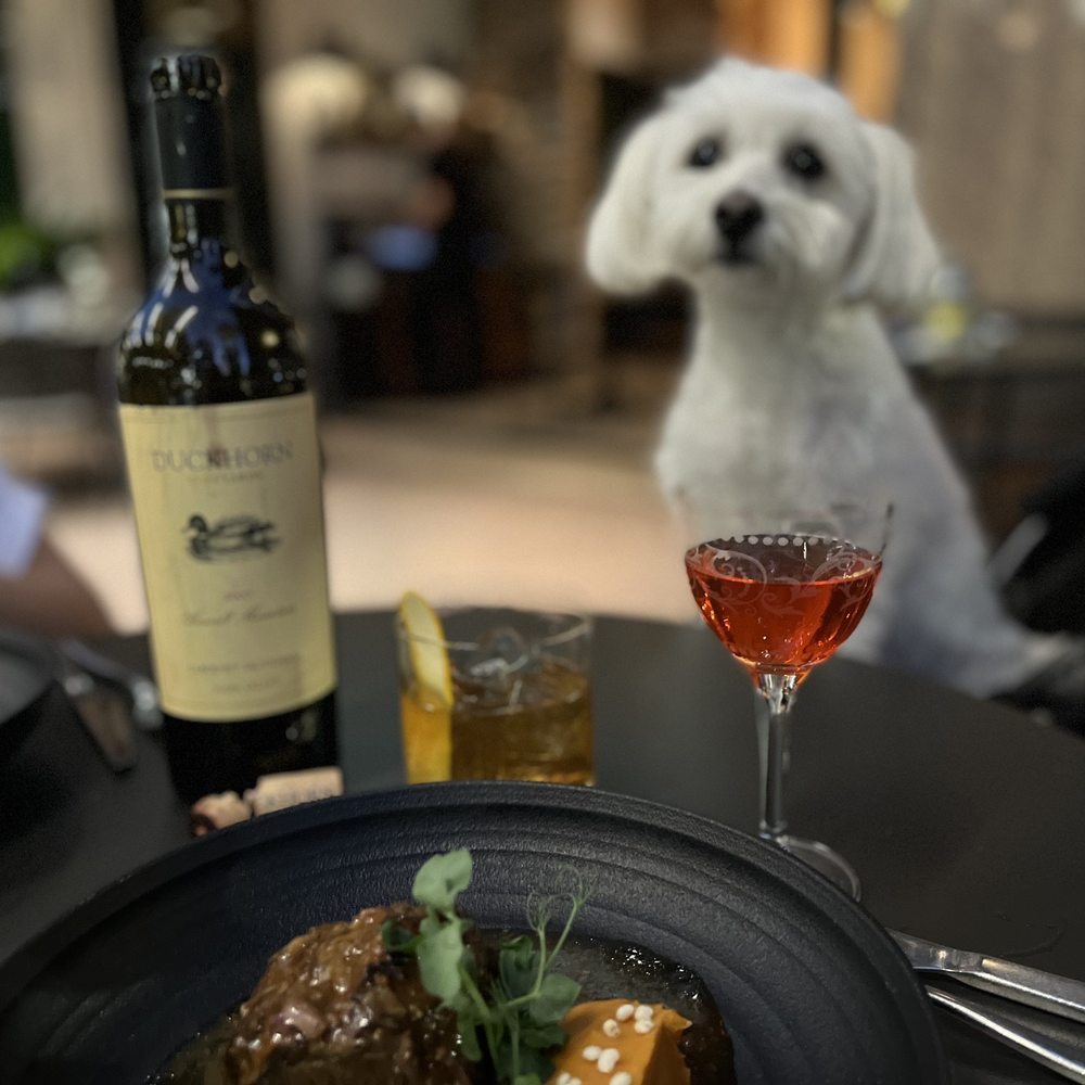 Are Dogs Allowed Inside Bars In California