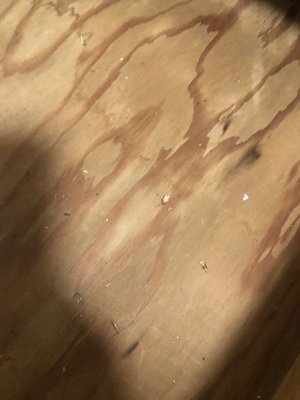 Beacon Properties by null