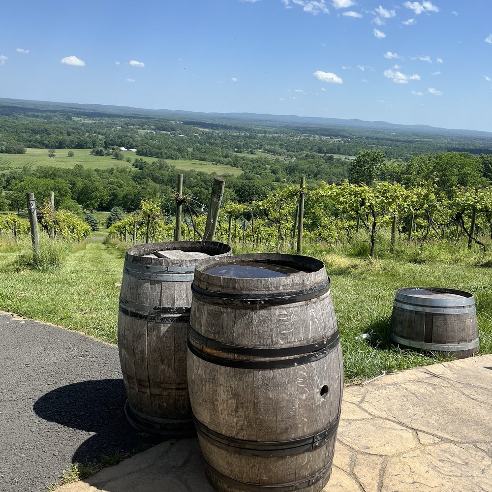 Bluemont Vineyard - Venues & Event Spaces Near Me - Bluemont, Virginia Bluemont Vineyard - Venues & Event Spaces Near Me - Bluemont, Virginia