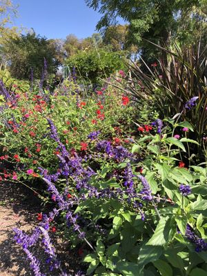 Jardin Botanique de l'Arquebuse by null