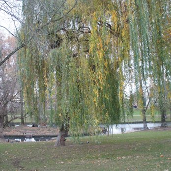 Parc de la Boverie - Parks Near Me - Liege, WLG