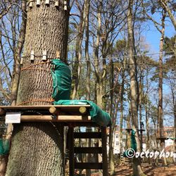 Kletterwald