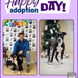 Humane Society of Northwest Montana