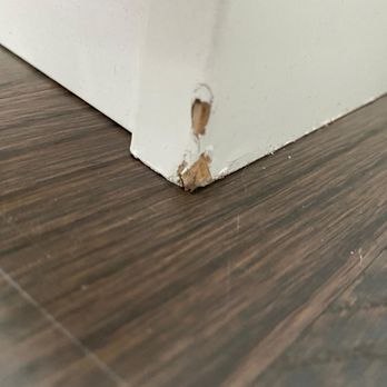 Moishe's Moving & Storage - Movers Near Me - Jersey City, New Jersey