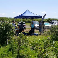 Blueberry Country - Register and weighing area.