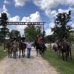 Sallys Horses