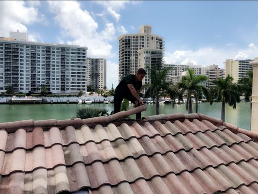 Hurricane IRMA - 2017 - These are just a few examples out of the hundreds of property owners we successfully represented on property damage claims as a result of Hurricane IRMA in 2017. Hurricane IRMA - 2017 - These are just a few examples out of the hundreds of property owners we successfully represented on property damage claims as a result of Hurricane IRMA in 2017.