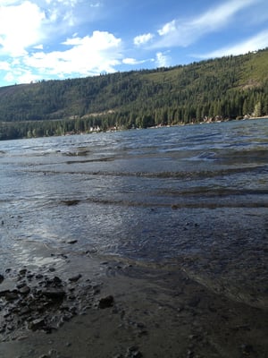 Donner Memorial State Park by null