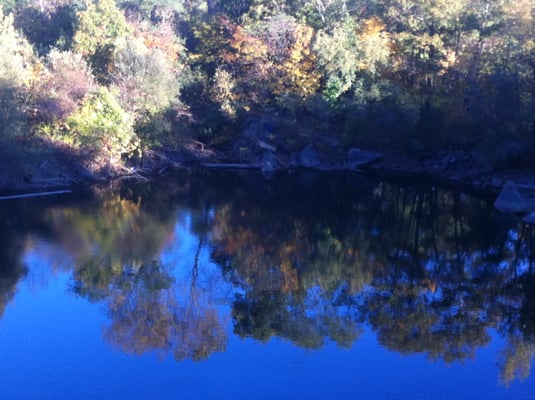 Quincy Quarries Reservation by null