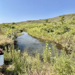 Kanopolis Lake State Park - A body of water