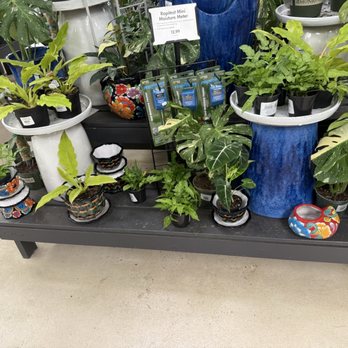Pike Nurseries - Nurseries & Gardening Near Me - Marietta, Georgia Pike Nurseries - Nurseries & Gardening Near Me - Marietta, Georgia