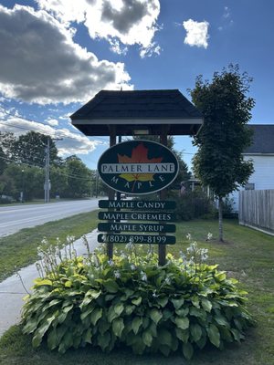 Palmer Lane Maple by null