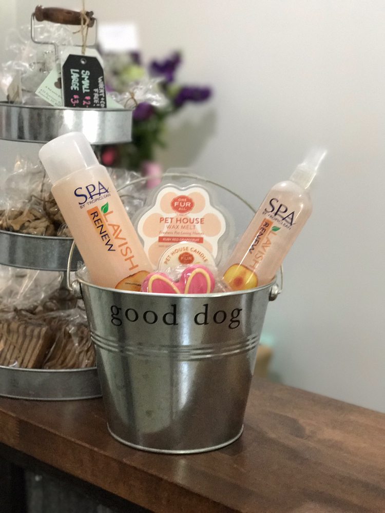 THE DOG HOUSE GROOMING SALON & SPA Updated September 2024 21 Photos 429 Seminary St