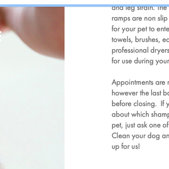 Petbar - Pet Groomers Near Me - Houston, Texas Petbar - Pet Groomers Near Me - Houston, Texas
