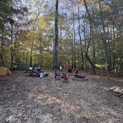 Tunica Hills Campground - camp site