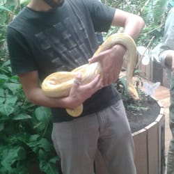 Selva Viva - Con la serpiente