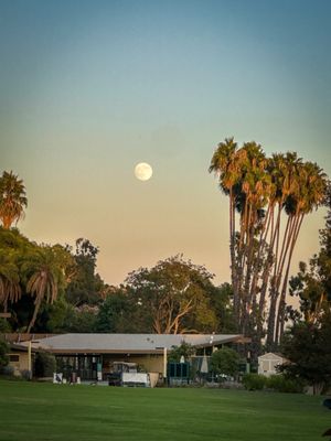 Los Angeles County Arboretum & Botanic Garden by null