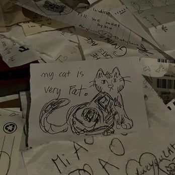 Kattenkabinet - Museums Near Me - Amsterdam, New Hampshire
