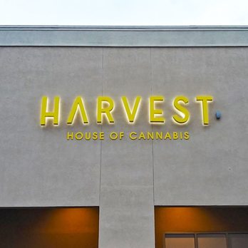 Trulieve Gainesville Archer Dispensary - Cannabis Clinics Near Me - Gainesville, Florida Trulieve Gainesville Archer Dispensary - Cannabis Clinics Near Me - Gainesville, Florida
