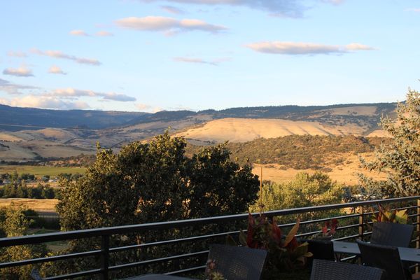 Weisinger Family Winery by null