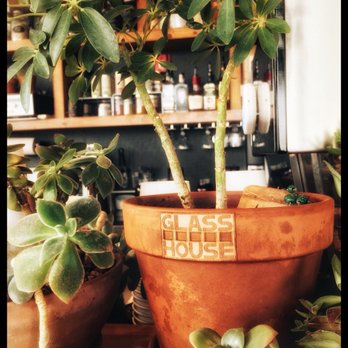 Glass House Coffee Bar - Coffee & Tea Near Me - Eugene, Oregon Glass House Coffee Bar - Coffee & Tea Near Me - Eugene, Oregon