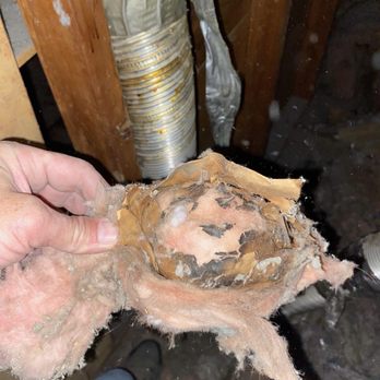 Clean & Clear Dryer Vent Service - Insulation stuck in dryer vent. Todd discovered this narrowly avoiding a fire in our unit of a condo building. - Air Duct Cleaning Near Me Clean & Clear Dryer Vent Service - Insulation stuck in dryer vent. Todd discovered this narrowly avoiding a fire in our unit of a condo building. - Air Duct Cleaning Near Me