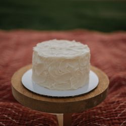 Two Friends Bakery LLC - Smash Cake by the experience photography