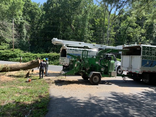 Professional Keylor Tree Service