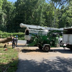 Professional Keylor Tree Service