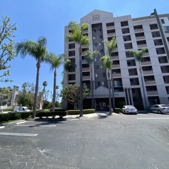 Noriega and Sons Tree Service - After: Palms - Landscaping Near Me Noriega and Sons Tree Service - After: Palms - Landscaping Near Me