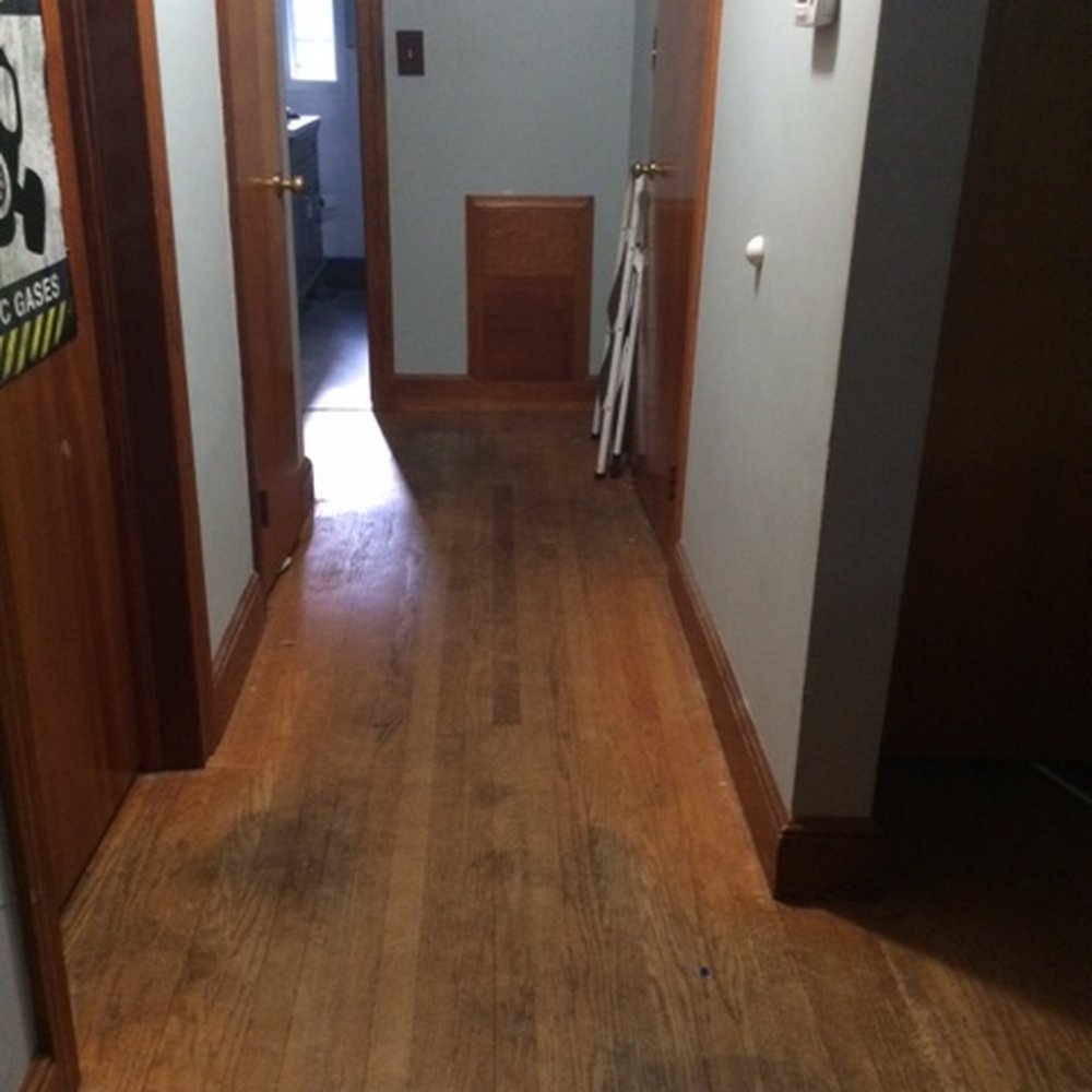 JT's Floor Refinishing - Before Hall-more evils hidden by carpet - Flooring Near Me - Springfield, Massachusetts JT's Floor Refinishing - Before Hall-more evils hidden by carpet - Flooring Near Me - Springfield, Massachusetts