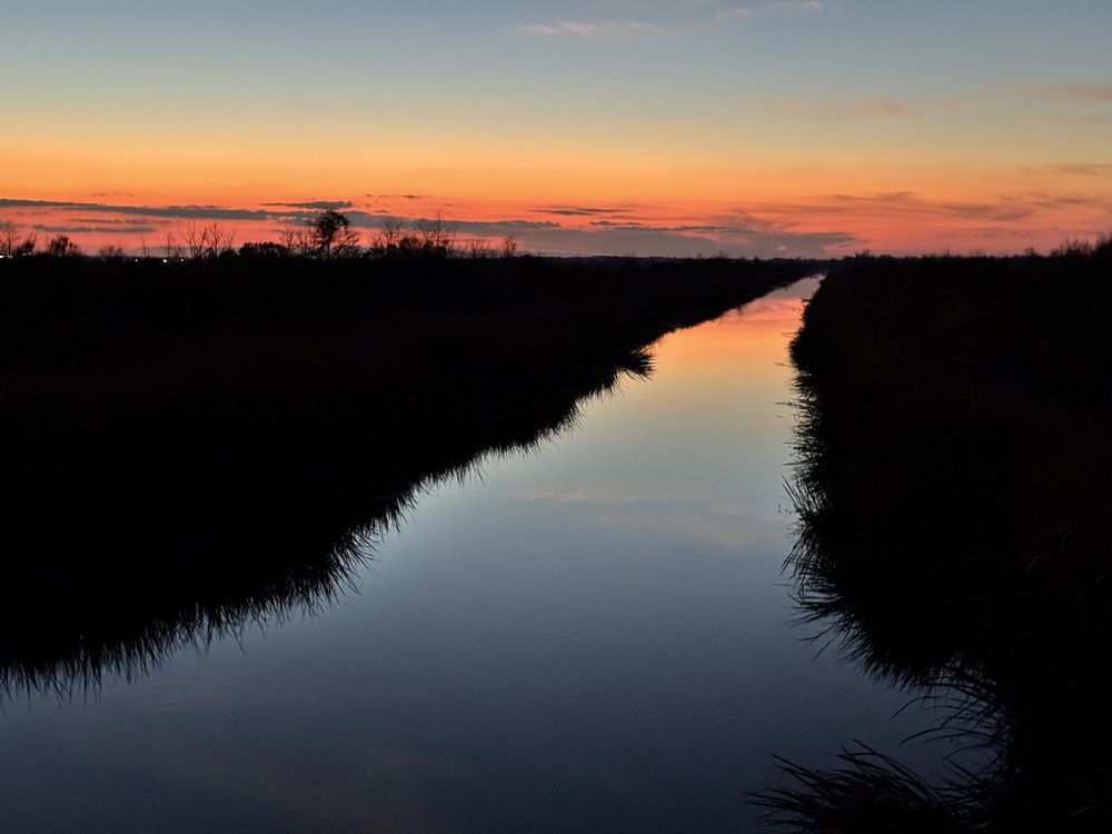 Savannah National Wildlife Refuge