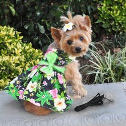 A Barking Boutique