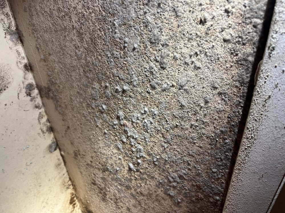 Iaqtn - mold inspector in Hendersonville, TN