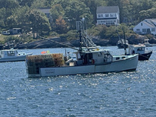 Casco Bay Lines by null