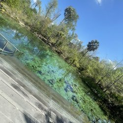 Econfina Creek Canoe Livery