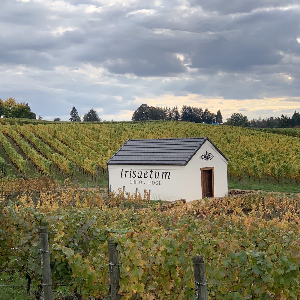 Trisaetum Winery - Wineries Near Me - Newberg, Oregon Trisaetum Winery - Wineries Near Me - Newberg, Oregon