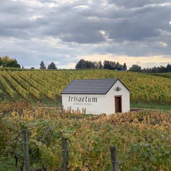 Trisaetum Winery - Wineries Near Me - Newberg, Oregon