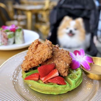 Breaking Dawn Brunch - RBF - Resting Brunch Face: Fried Chicken w/ pandan waffle, cà phê sữa đá syrup, berries | $23 - Breakfast & Brunch Near Me - Los Gatos, California