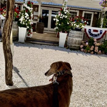 Cape Cod Winery - Wineries Near Me - Falmouth, Massachusetts