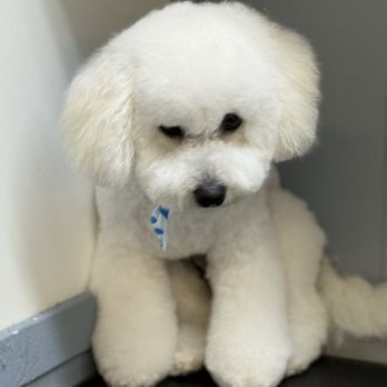 Kat’s Professional Grooming - Pet Groomers Near Me - Holden Beach, North Carolina Kat’s Professional Grooming - Pet Groomers Near Me - Holden Beach, North Carolina