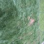 Photo of Larin Landscaping and Masonry